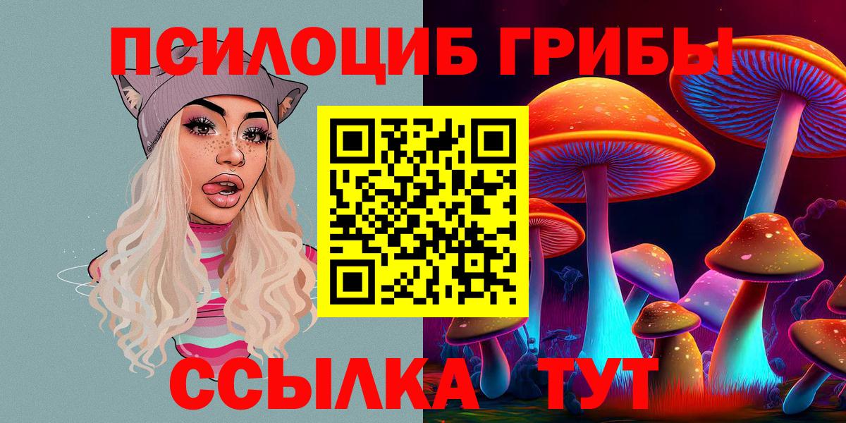 Псилоцибиновые грибы мицелий  Вход с VPN  Бузулук 
