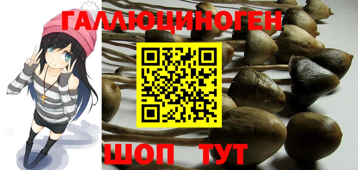 Галлюциногенные грибы Cubensis Бузулук
